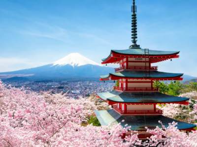 dulichnhatban2025_Cherry+Blossom+Japan