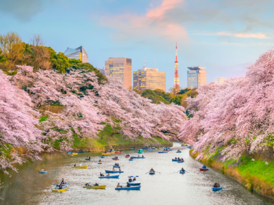 dulichnhatban2025muahoaanhdao_Japan_UenoPark