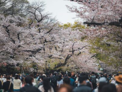07-Ueno-Park-in-Tokyo-at-Sakura-1536x1024