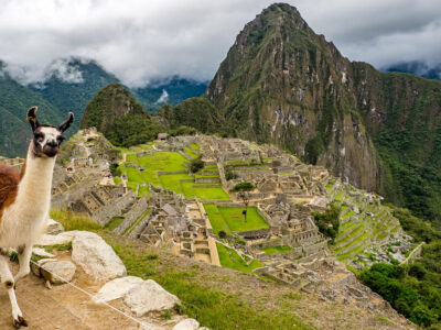 Animals-at-Machupicchu-dulichperu