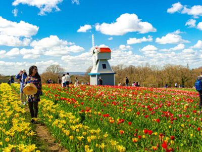 halan_tourdulichchauau